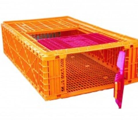 Poultry Transport Crate