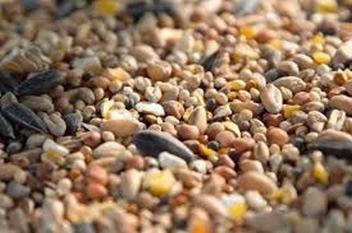 Keepa Ground Feed Seed Mixture Aniseed Bird puller
