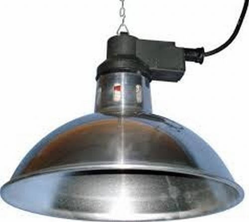 Intelec Traditional Overhead Heat Lamp