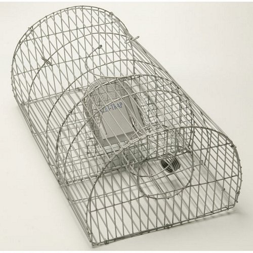 Rat – Monarch Multiple Live Catch