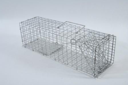 Midget Squirrel/Rat Live Catch Trap