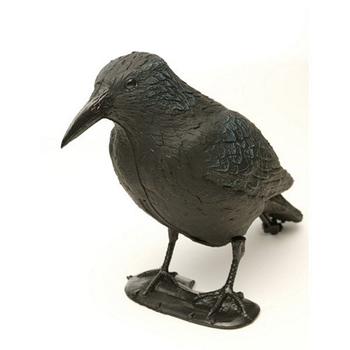 Crow Decoy (with legs)