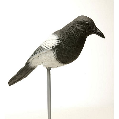 Magpie Decoy